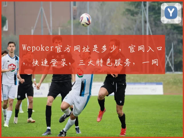 Wepoker官方网址是多少，官网入口，快速登录，三大特色服务，一网打尽