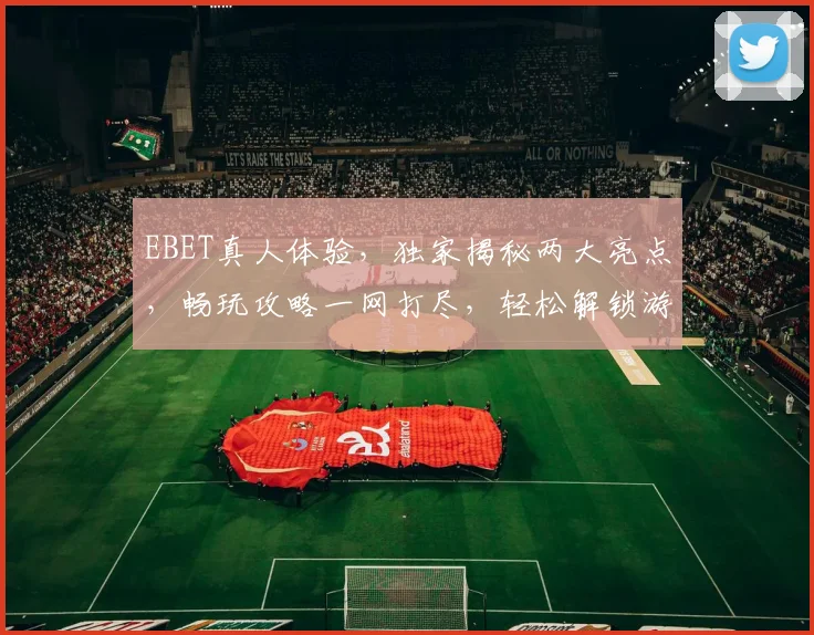 EBET真人体验，独家揭秘两大亮点，畅玩攻略一网打尽，轻松解锁游戏乐趣