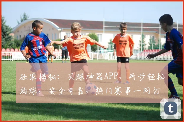 独家揭秘：买球神器APP，两步轻松购球，安全可靠，热门赛事一网打尽，必看