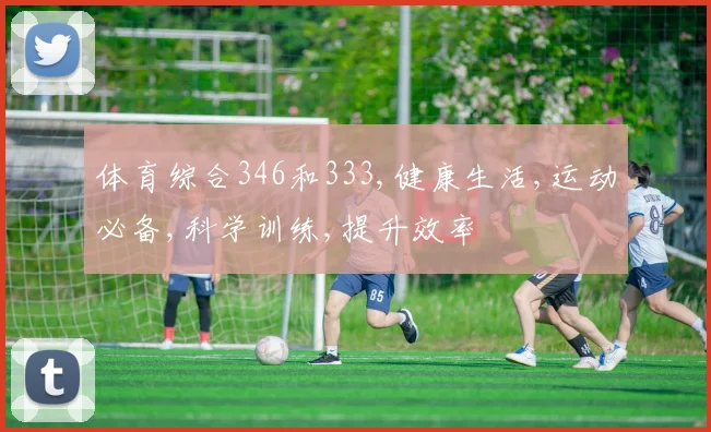 体育综合346和333,健康生活,运动必备,科学训练,提升效率
